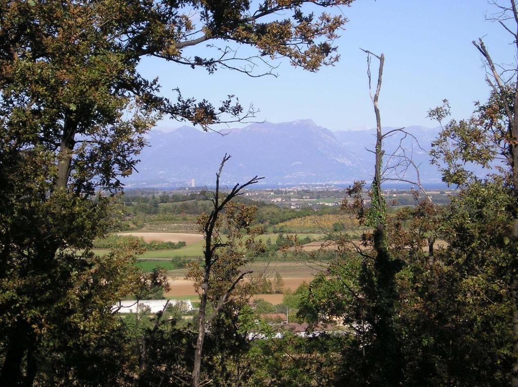 Agriturismo Dondino Cavriana エクステリア 写真