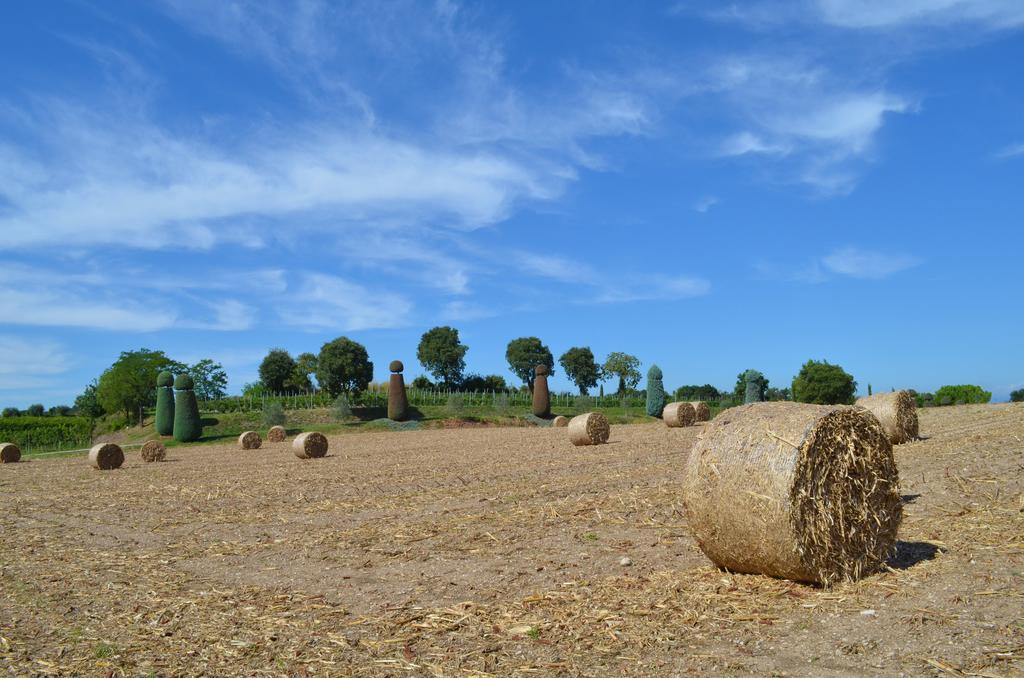 Agriturismo Dondino Cavriana エクステリア 写真