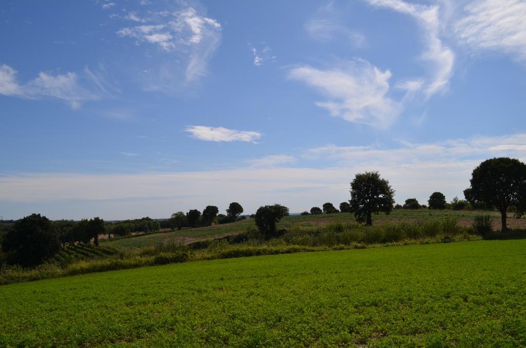 Agriturismo Dondino Cavriana エクステリア 写真